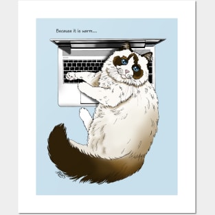 Warm Laptop Cat Posters and Art